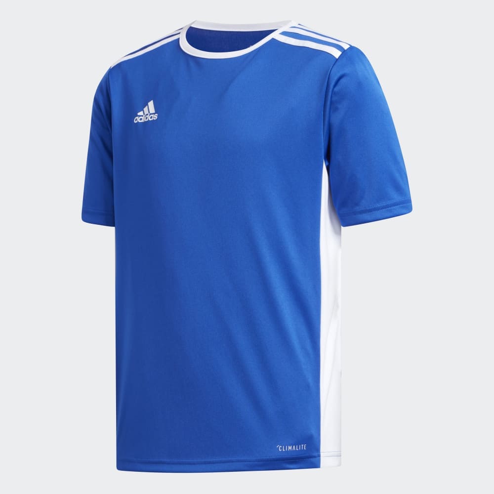 adidas Jersey adidas Junior Entrada 18 SS Jersey - Bold Blue/White