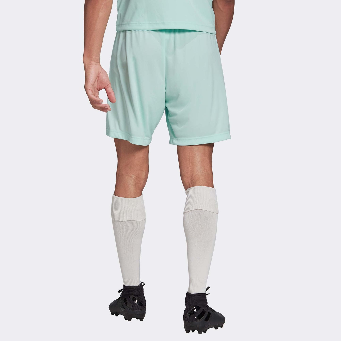 adidas Shorts adidas Entrada 22 Shorts - Blue