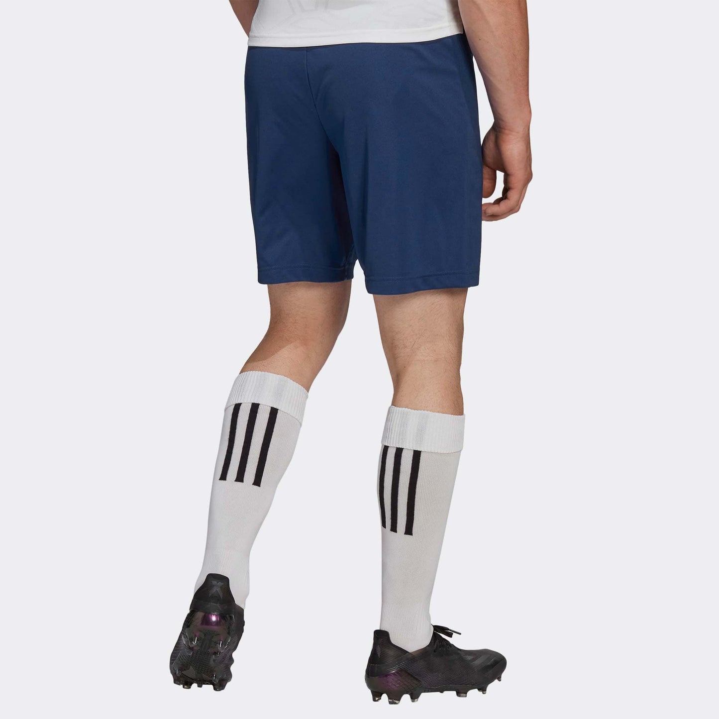 adidas Shorts adidas Entrada 22 Shorts - Navy