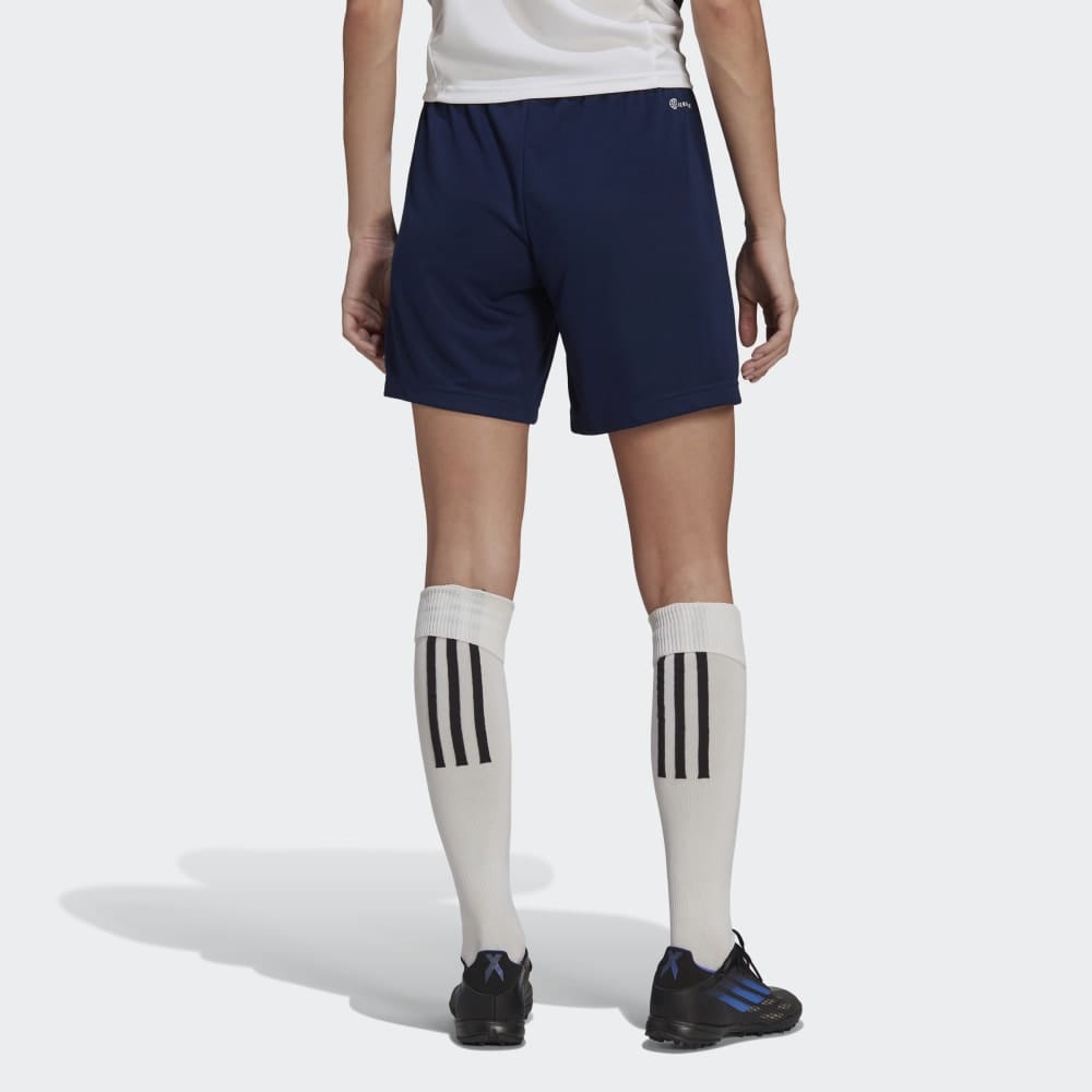 adidas Shorts adidas Entrada 22 Womens Shorts - Team Navy Blue