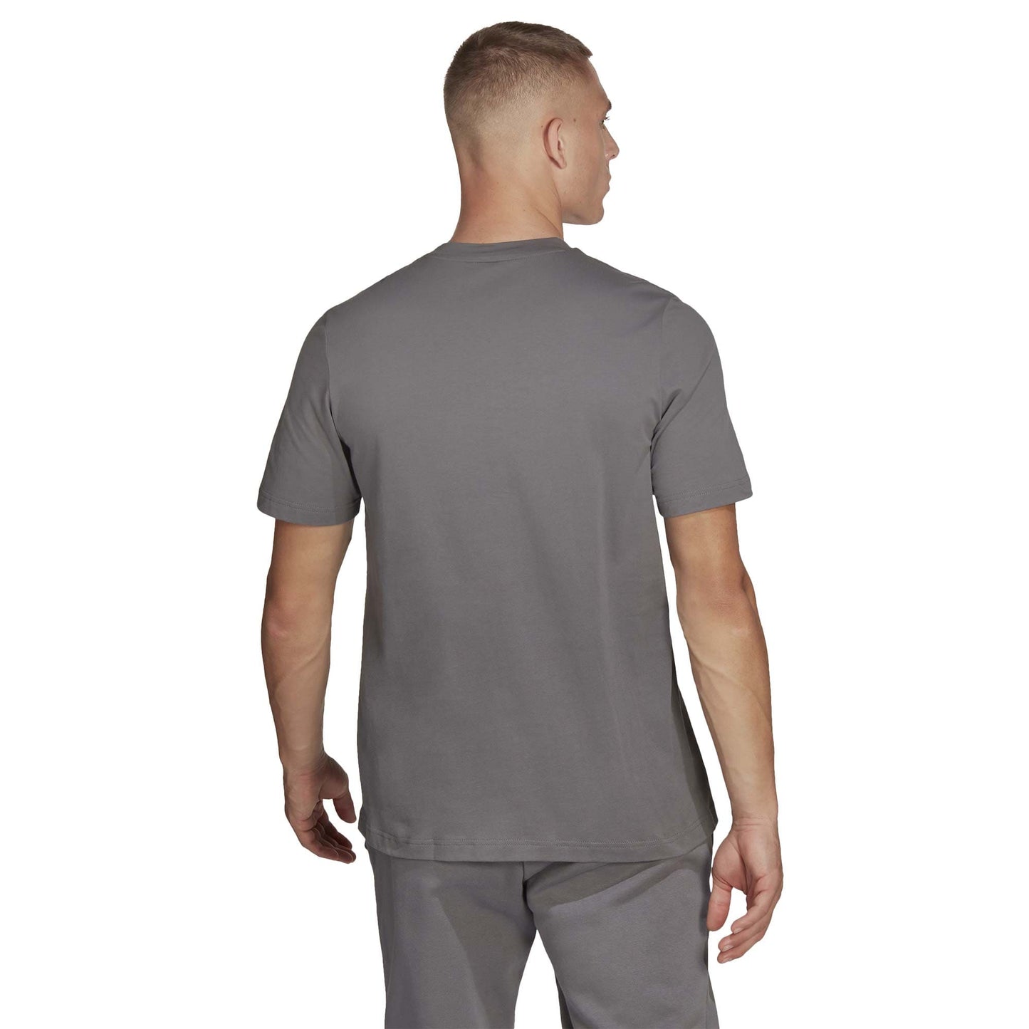 adidas T-Shirt adidas Entrada 22 Tee - Grey