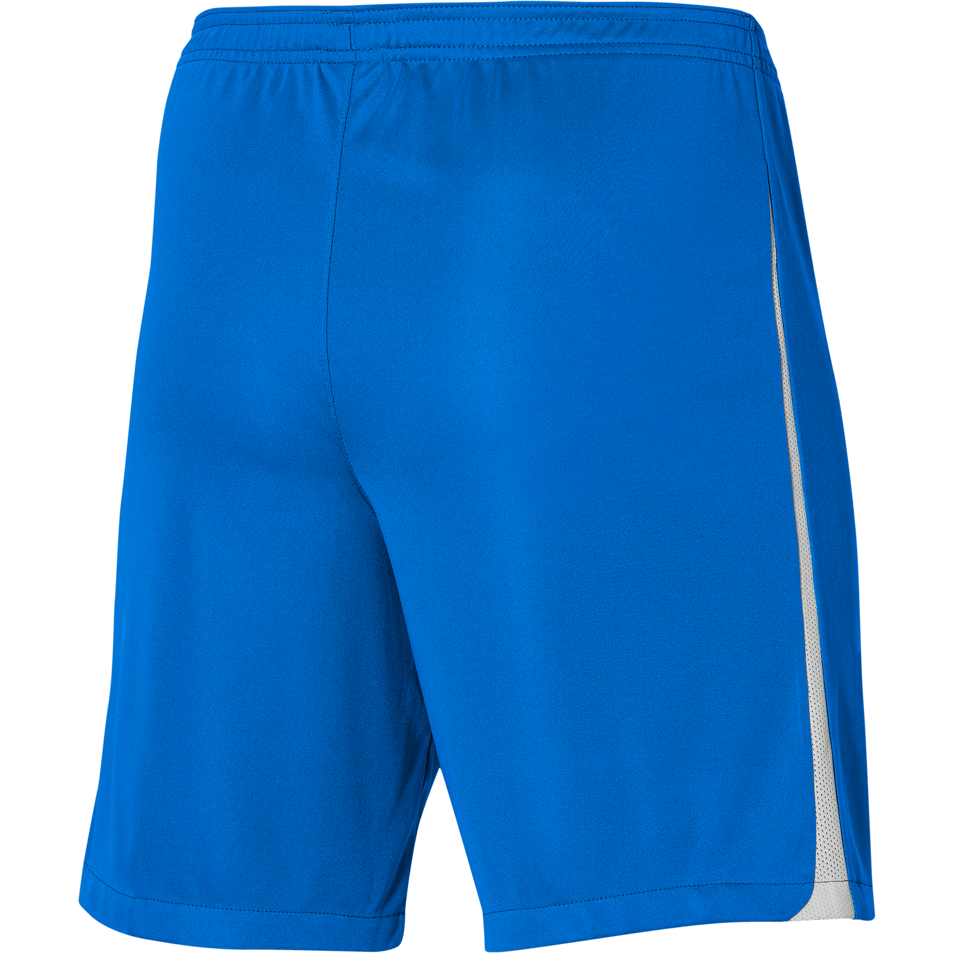 Nike Shorts Nike Kids League III Knit Shorts - Royal Blue